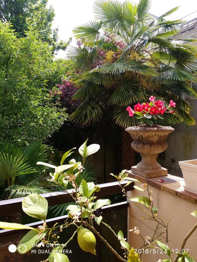 Appartement Charmant A Alfortville 30M² Terrasse Et Jardin Экстерьер фото